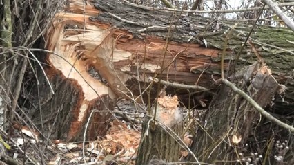 Test new camera Panasonic HC-V800 in "Finland"