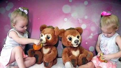 Cubby the curious bear | Kristen and Scarlett Love Cubby!