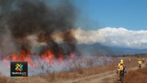tn7-incendios-forestales-060220
