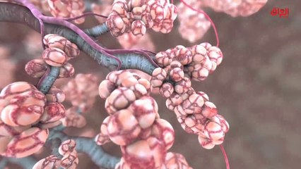 تقرير حديث بغداد عن فيروس كورونا ومخاوف الشعب العراقي