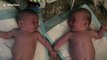 Amazing moment 4-month-old twins recognize each other for the first time