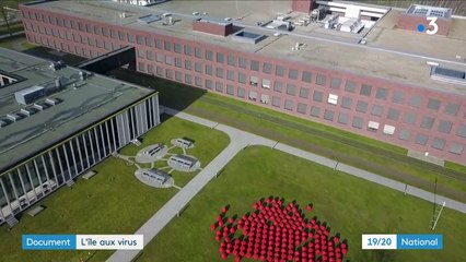 Rage, fièvre jaune, Ebola... Plongée dans l'"Alcatraz des virus", l'île allemande où sont concentrés les virus les plus mortels