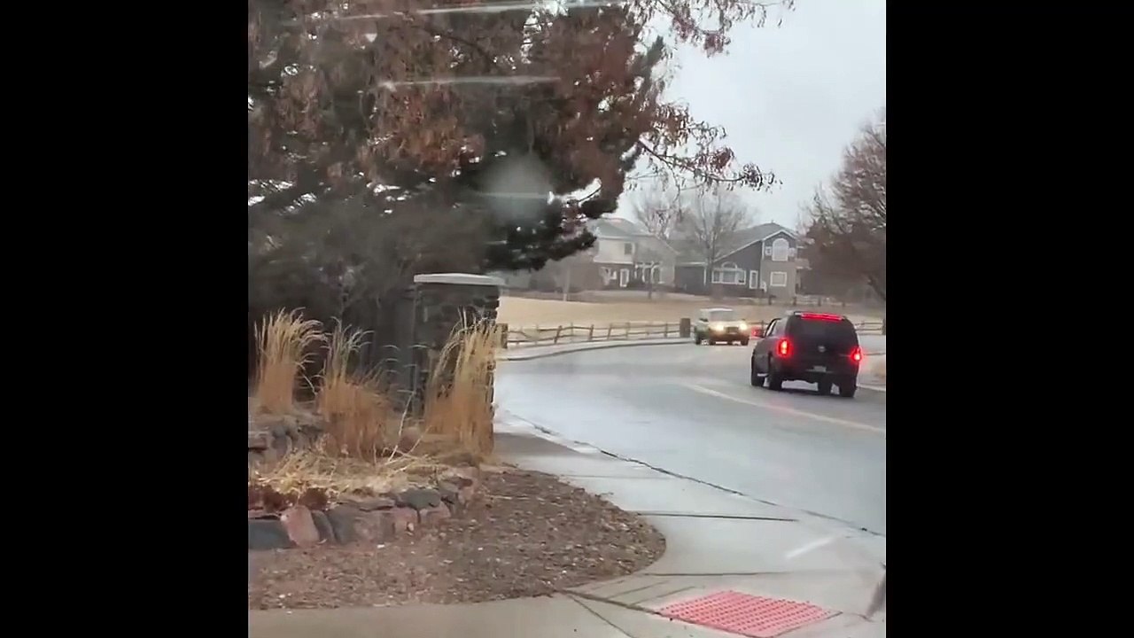 Slippery Corner Dupes Drivers