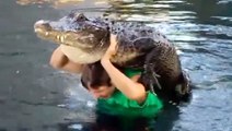 Man Performs Dangerous Stunts With Alligator