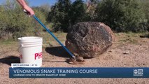 RATTLESNAKES! Venomous snake removal class at Phoenix Herpetological Sanctuary - ABC15 Digital