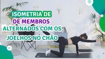 Isometria de membros alternados com os joelhos no chão - Sou Fitness