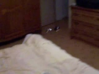 petit vol en Dragonfly 4#3