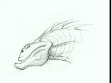 Dragon2