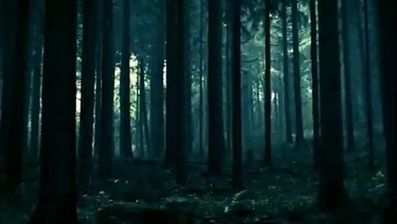 pointer video
