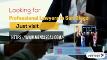 Professional Lawyers in San Diego
