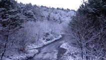 Kar yağışı etkisini gösterdi, Aydos Ormanı beyaza büründü