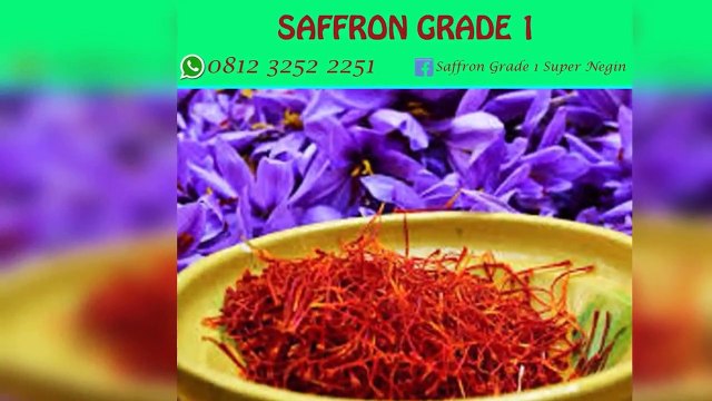 PREMIUM !! WA : +62 812-3252-2251 (Tsel),Supplier Bunga Saffron Samarinda Aceh,