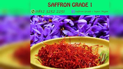 PREMIUM !! WA : +62 812-3252-2251 (Tsel),Supplier Bunga Saffron Samarinda Aceh,