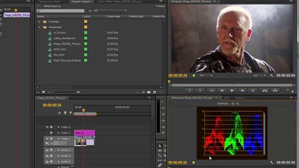 Premiere Pro CS6 50 Color 4 The RGB Parade