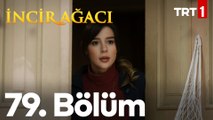 İncir Ağacı 79. Bölüm