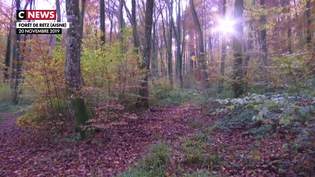 Affaire Elisa Pilarski : L’avocat des chasseurs demande au procureur de faire cesser les rumeurs