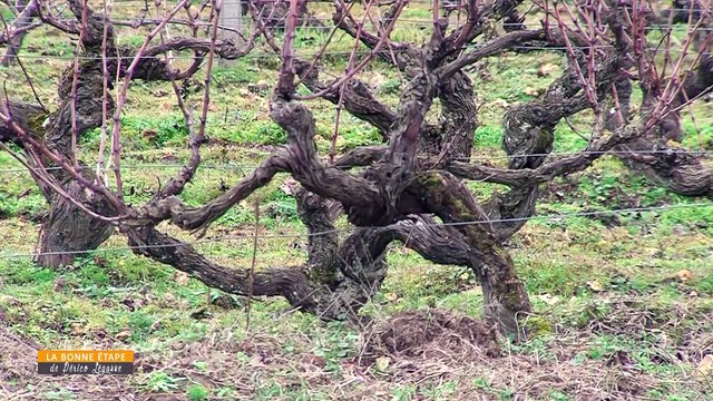 La Bonne Etape - 06/02/2020 -Au domaine des Pierres Écrites