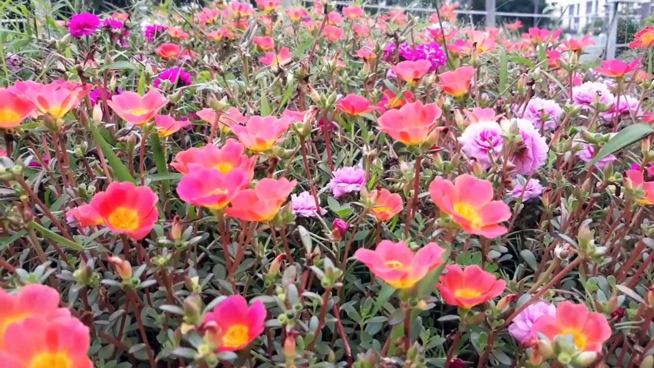 यकीन हीं सबकुछ है, यह जीवन का सार है।