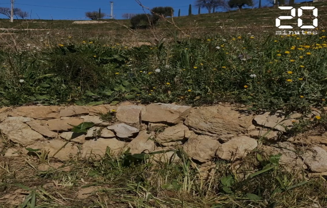 Des formations sur les murs en pierres sèches,...