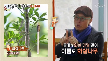 +산나물 반찬+ 냄새부터 야생의 맛 (향도 근사-)