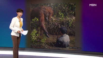 김주하의 2월 7일 '이 한 장의 사진'