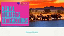 Best African safari packages