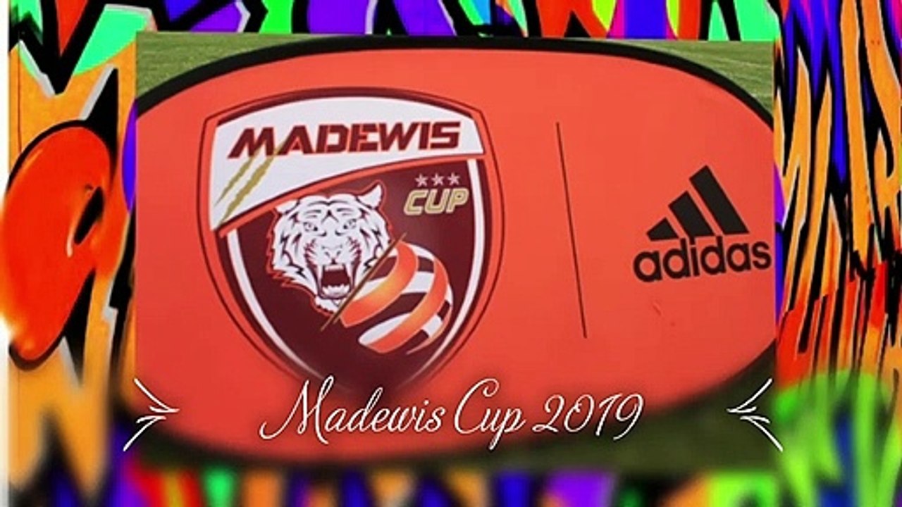 LES LIONS ROUGES