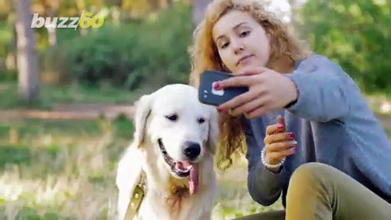 Canine Confusion! Dogs Get Confused When Humans Do These Things