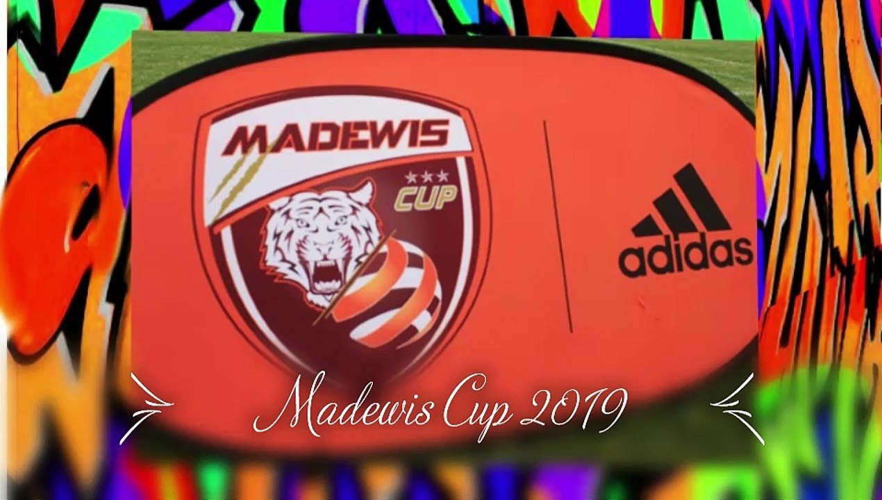 LES LIONS ROUGES