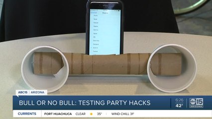 DIY party hacks -- do they work?