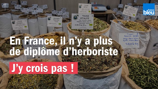 J'y crois pas ! En France, il n'y a plus de diplôme d'herboriste