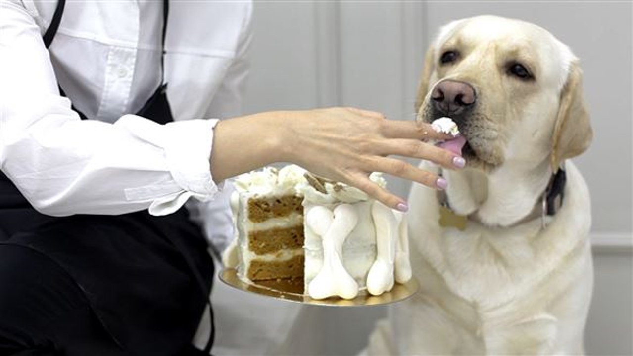 Carrot cake für deinen liebsten