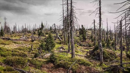 Czy klimat zwariował? Nadchodzą groźne zmiany.