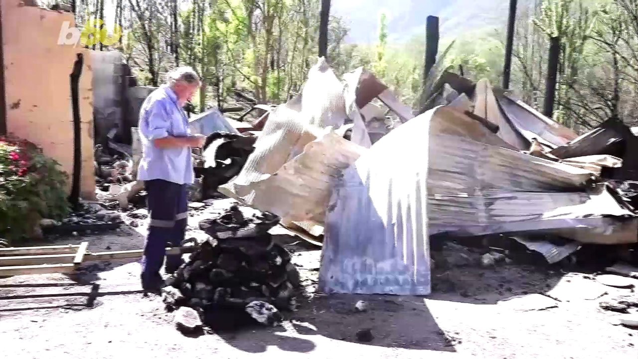 Australian Couple Caring for Over a Dozen Orphaned Baby Kangaroos Affected by Bushfires!