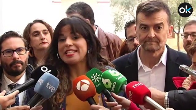 La corriente ‘anticapi’ de Podemos rompe con Iglesias como adelantó OKDIARIO