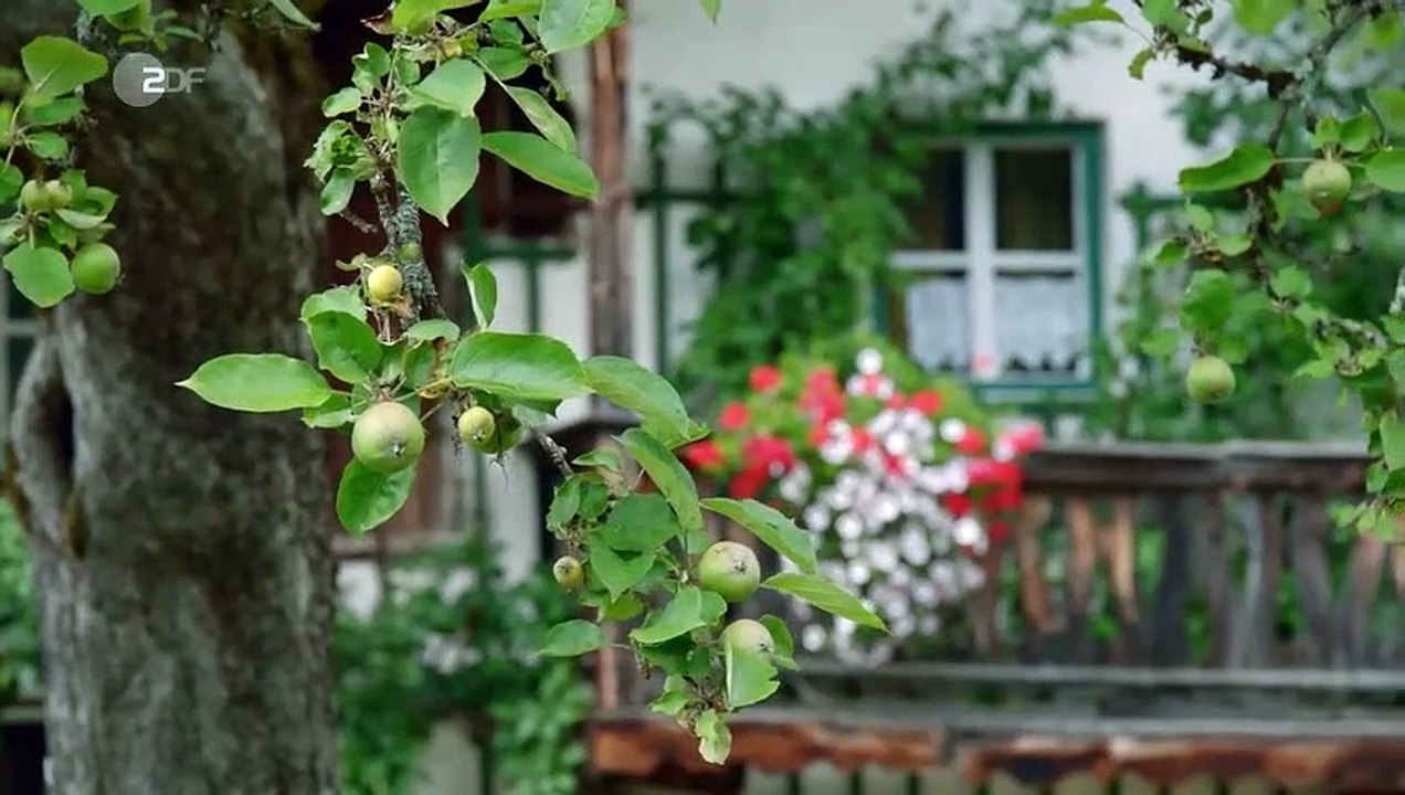 Lena Lorenz (15) Ein neuer Anfang Staffel 5 Folge 1 Teil 2