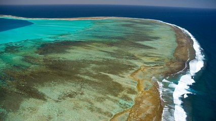 Australia's Newest National Park Has Sea Lions, Seabirds, and Some of the Clearest Water on Earth