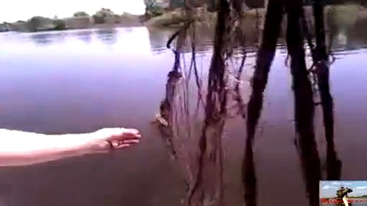 Нашли сеть , сто делать ?