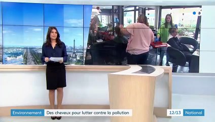 Environnement : une collecte de cheveux pour lutter contre la pollution