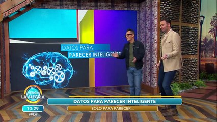 ¿De qué se hacen las brochas de maquillaje? ¡Chécalo en estos datos! | Venga La Alegría