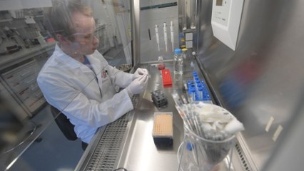 Ericsson no participará en el MWC por el brote de coronavirus