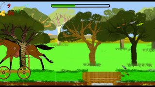 Animals birds hunting videos game play for kids