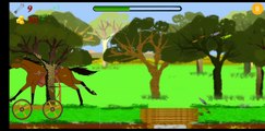 Animals birds hunting videos game play for kids