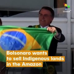 Indigenous Land for Sale in Brazil