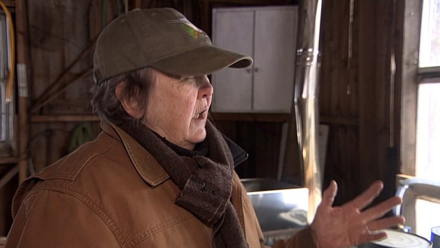 Democratic primaries: Climate change a key issue for voters