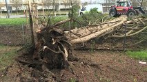 Tempestade Ciara deixa três mortos e vários feridos na Europa