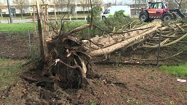 Tempestade Ciara deixa três mortos e vários feridos na Europa