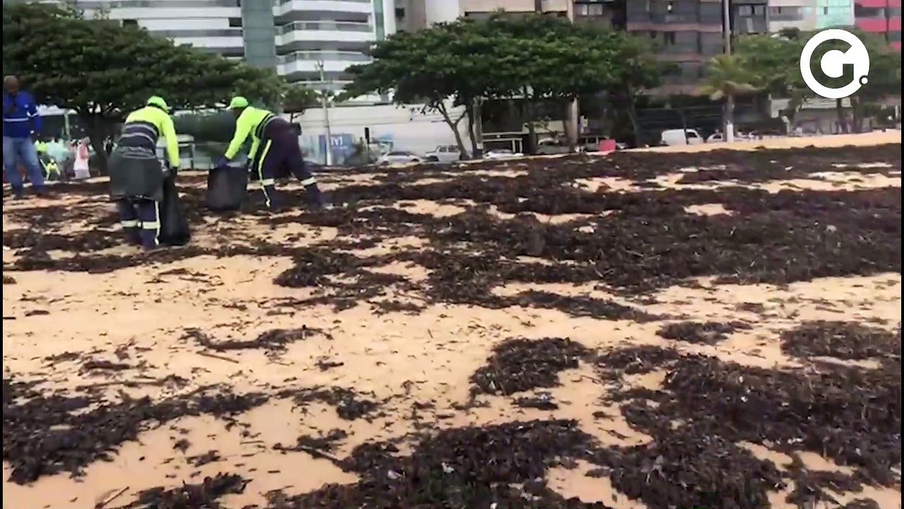 Funcionários da Prefeitura fazem limpeza na Pra...