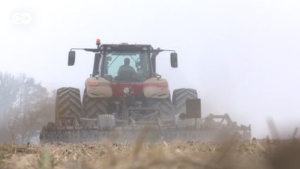 Иностранным фермерам в Украине не позволят покупать землю? (07.02.2020)
