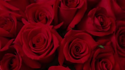 Whole Foods Is Selling Two Dozen Roses for Just $20 This Valentine's Day—and They Deliver